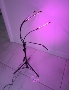 Grow light. gardening