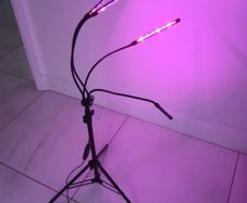 Grow light. gardening