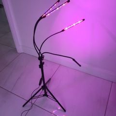 Grow light. gardening