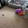 Beige Carpet Image 4