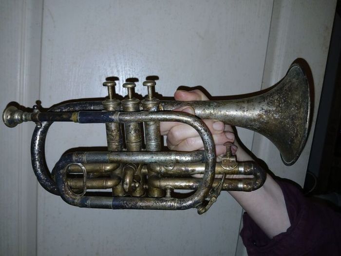 Cornet and bugle