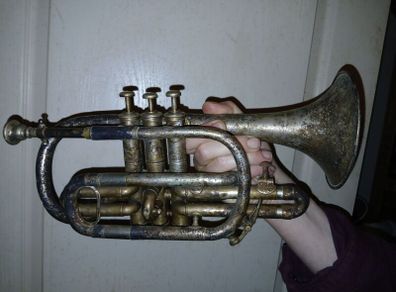 Cornet and bugle