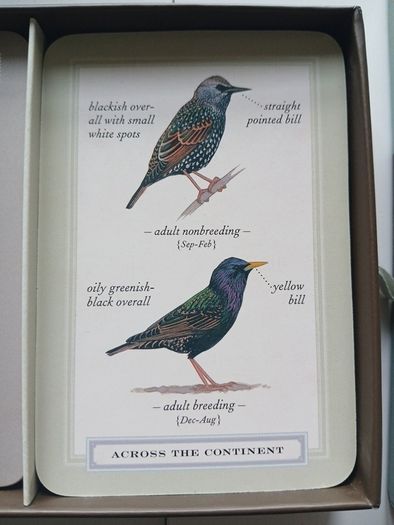 Ornithology