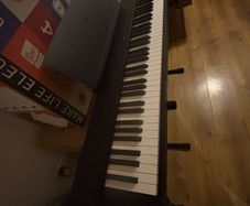 Yamaha P-225B 2025 Model