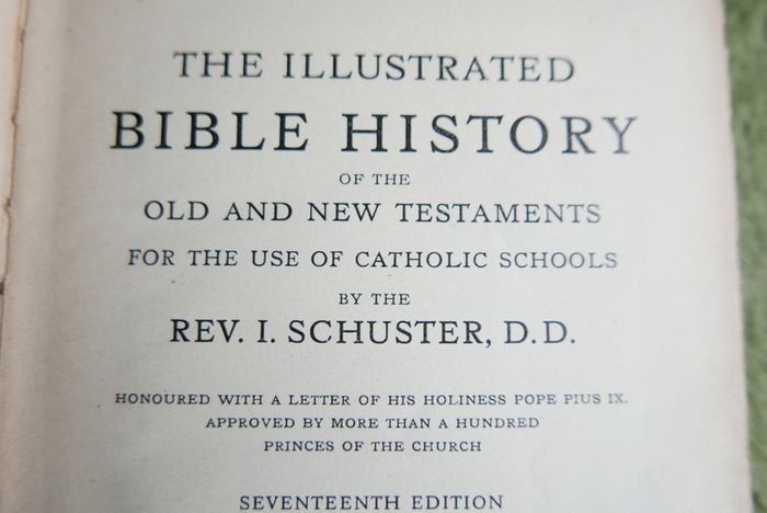 The Illustrated Bible History (Rev. I. Schuster - 1925)