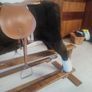 Rocking Horse Image 5