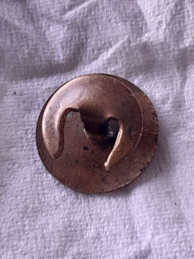 old Irish badge