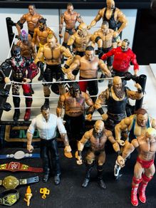 WWE Fighting Ring With 17 Wrestlers