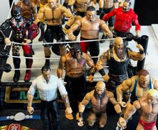 WWE Fighting Ring With 17 Wrestlers