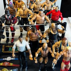WWE Fighting Ring With 17 Wrestlers