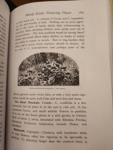 The Wild Garden. By William Robinson. Hardback With Dustjacket In Good Condition.