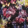 Limited Edition Oversized Lace Satin Top 20 New Image 9