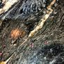 granite table Image 4