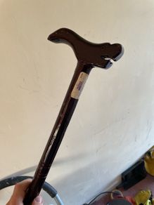 walking stick