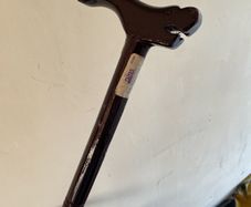walking stick