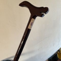 walking stick