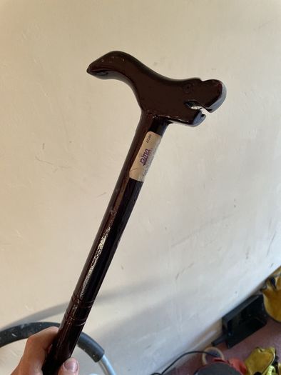 walking stick