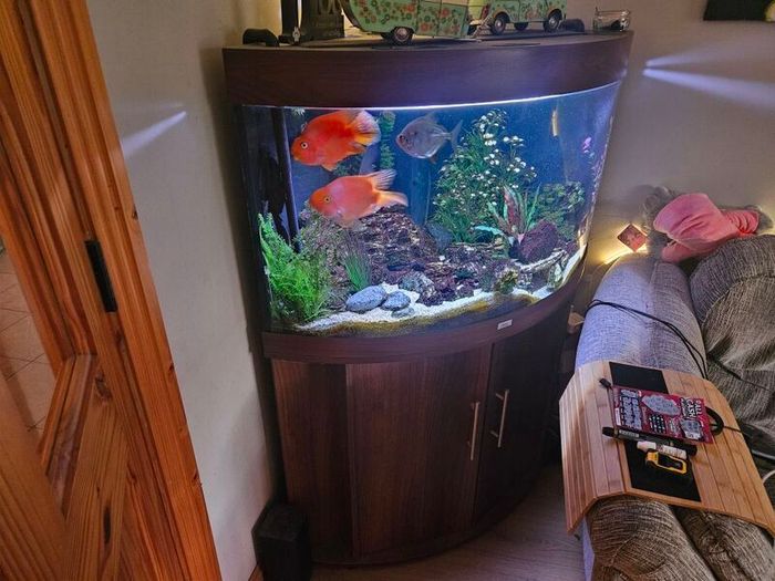 Aquarium