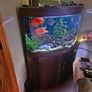 Aquarium Image 2