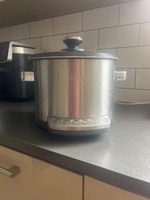 slow cooker / sage.