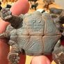 Large Schleich Animal Figure Collection 29 Figures RRP285 Image 5