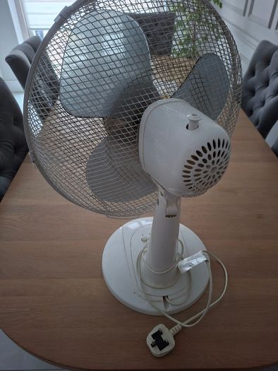 Electric Fan