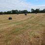 Sillage bales Image 2