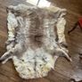 Reindeer Hide rug Image 2