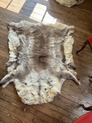 Reindeer Hide rug