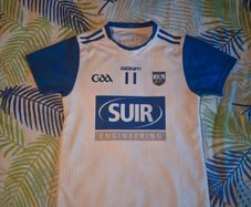 Waterford GAA jersey