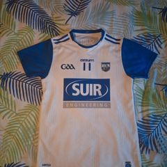 Waterford GAA jersey