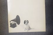 Splodgenessabounds lp (green rear cover)
