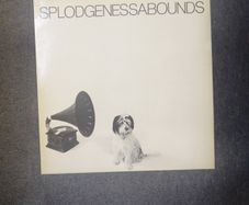 Splodgenessabounds lp (green rear cover)