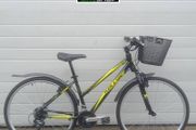 KELLYS Clea 20, Shimano Turney, 43cm