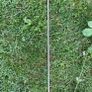 Extendable Curtain Poles Image 4