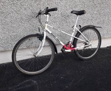 adult  bike