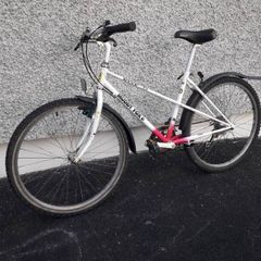 adult  bike