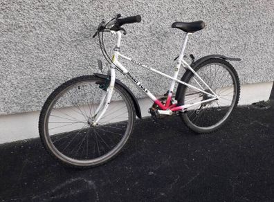 adult  bike