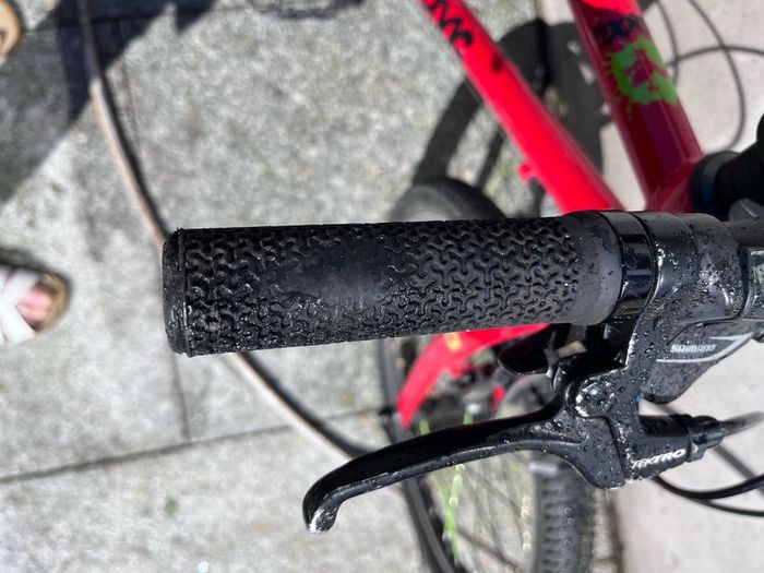 frog 55 bike