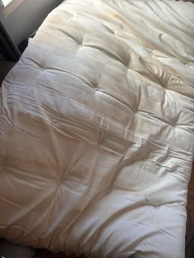 futon with free mattress