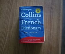 French dictionary