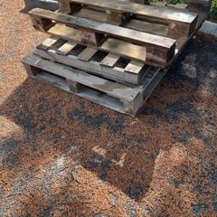 X3 free pallets