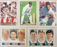 Cricket - Panini stickers
