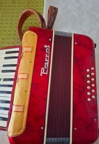 Parrott Piano Accordian