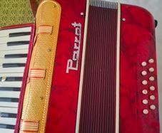 Parrott Piano Accordian