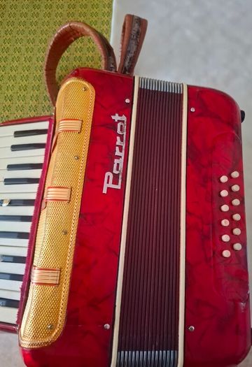 Parrott Piano Accordian