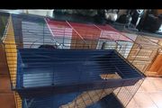 Xl two story cage