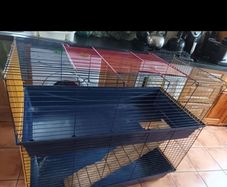 Xl two story cage
