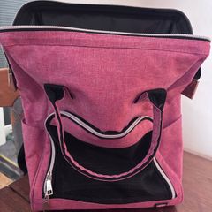 Cat carrier back pack
