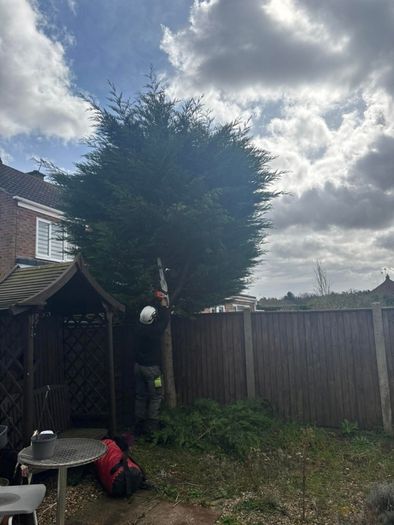 Gardening & Tree Service